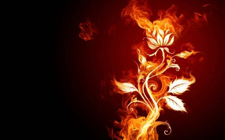 fire, Flowers HD Wallpaper Desktop Background