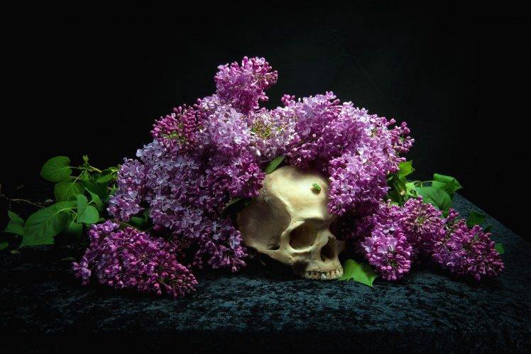 skull, Bones, Flowers HD Wallpaper Desktop Background