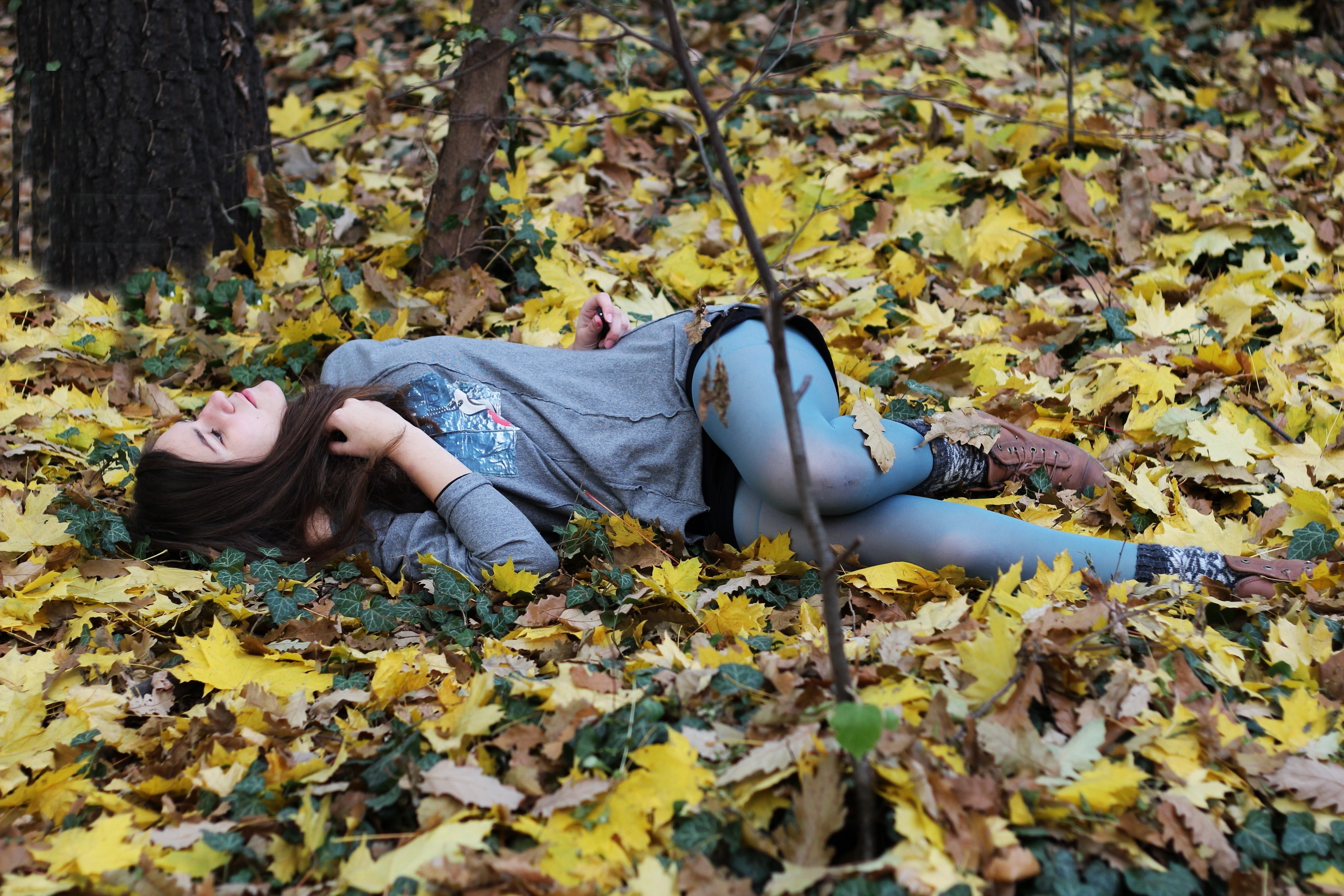 Девушка брюнетка осень с листьями бесплатно