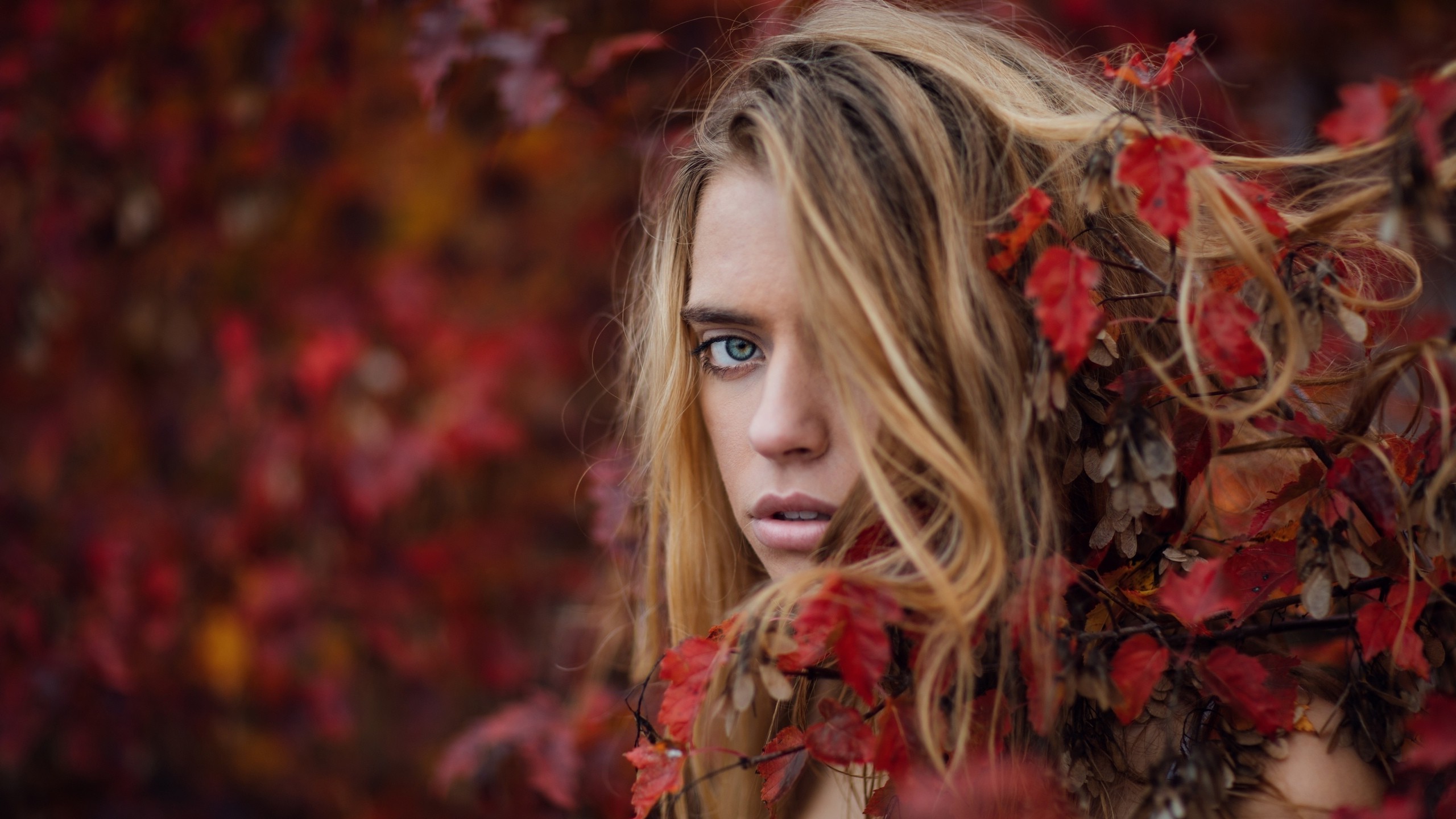 women, Model, Blonde, Long Hair, Women Outdoors, Looking At Viewer, Face, Portrait, Blue Eyes, Nature, Fall, Leaves, Open Mouth, Depth Of Field, Hair In Face, Branch Wallpaper