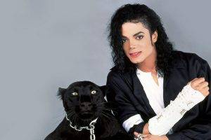 Michael Jackson, Singer, Pop Music