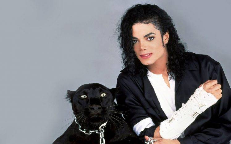 Michael Jackson, Singer, Pop Music HD Wallpaper Desktop Background