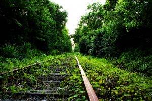 nature, Railway, Abandoned