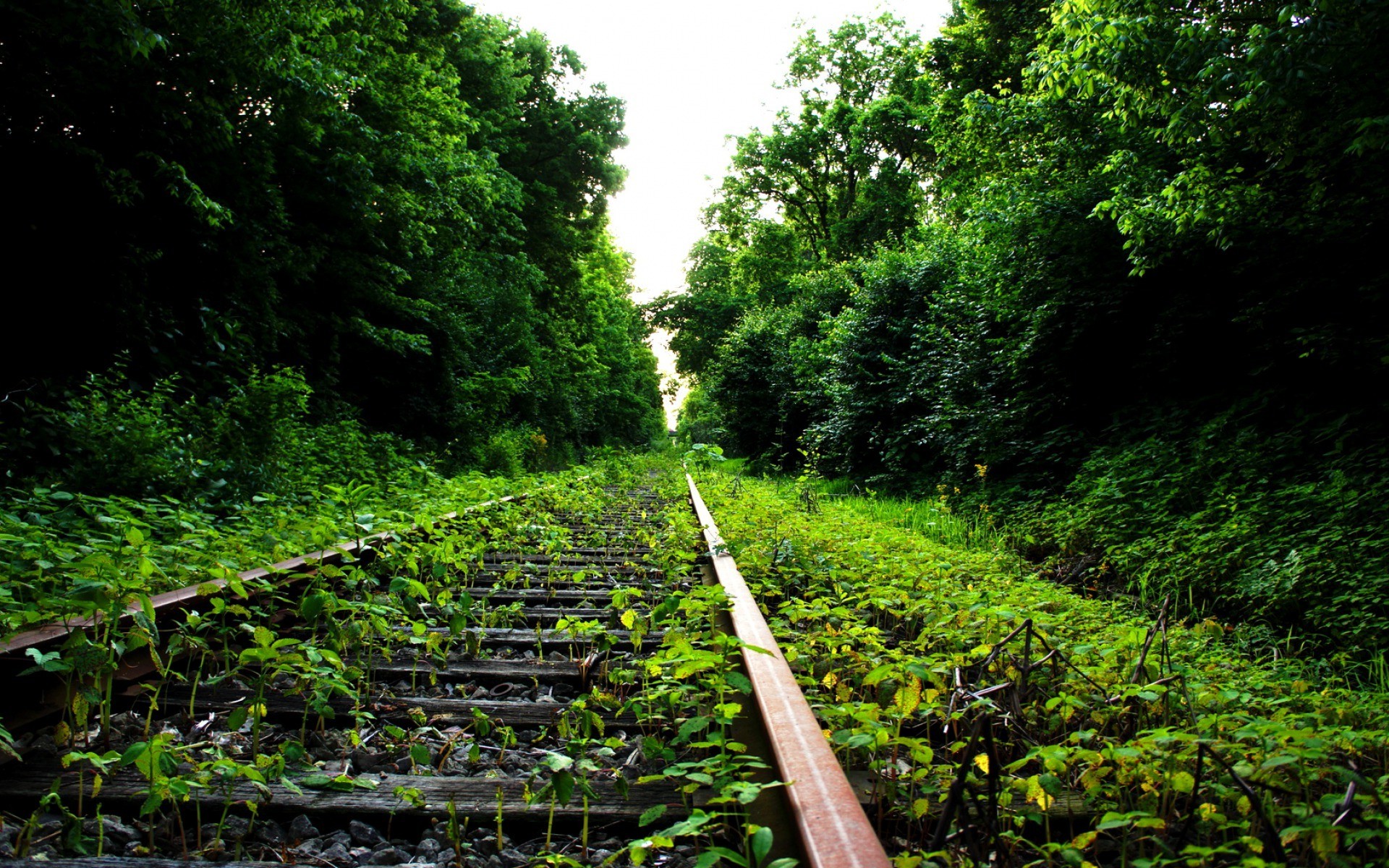 nature, Railway, Abandoned Wallpaper