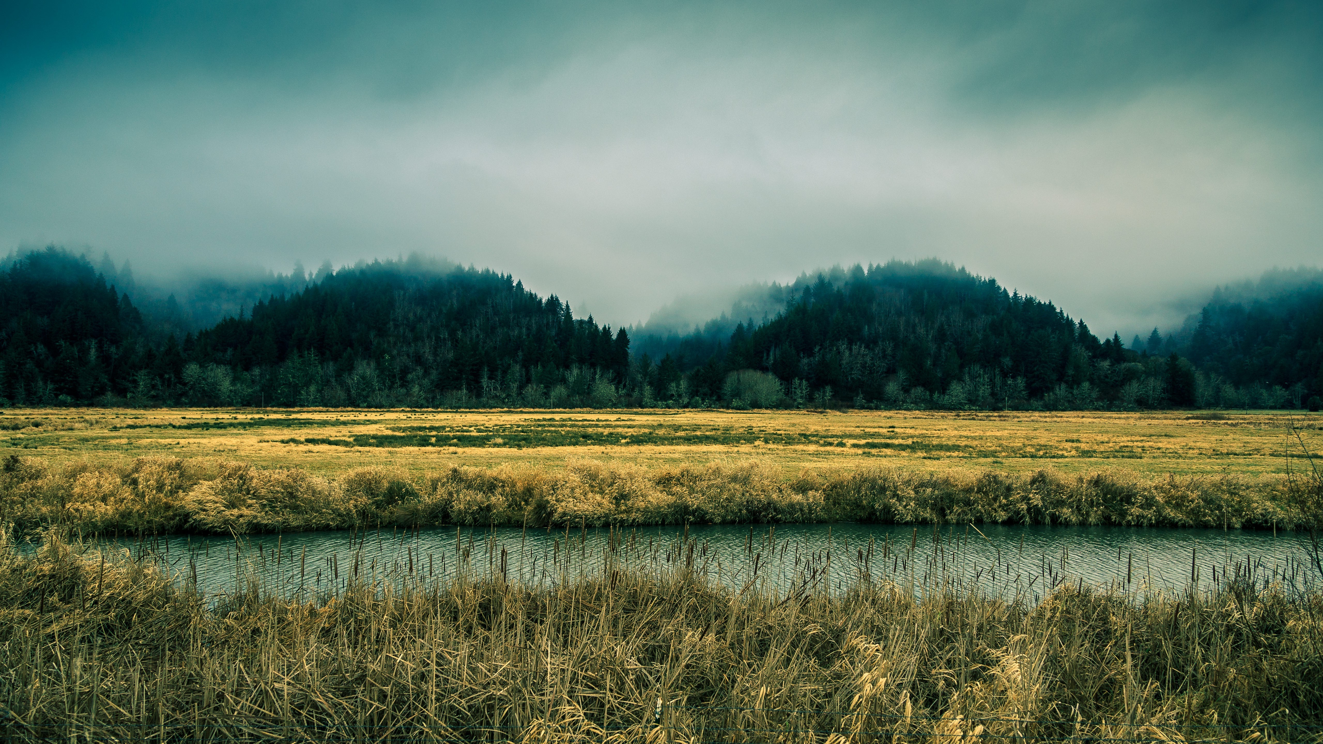 nature, Mountain, Oregon, River Wallpaper