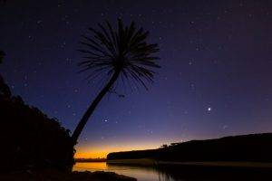 nature, Palm Trees, Royal National Park, River, Silhouette, Stars, Australia