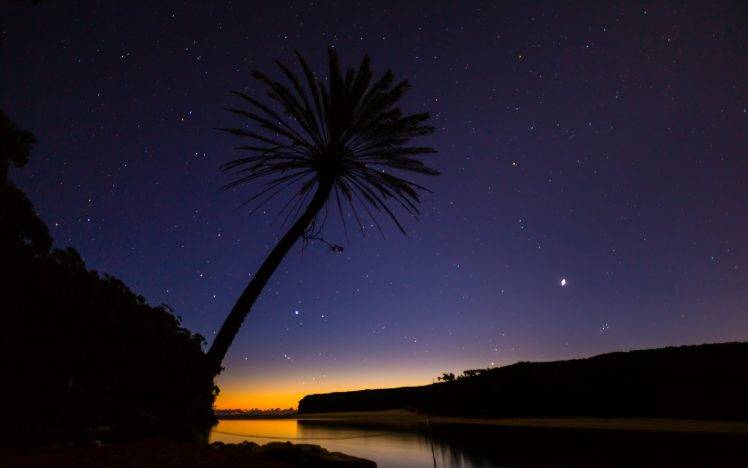nature, Palm Trees, Royal National Park, River, Silhouette, Stars, Australia HD Wallpaper Desktop Background