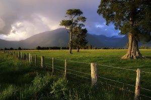 nature, Fence, Storm, Trees, Mountain, New Zealand
