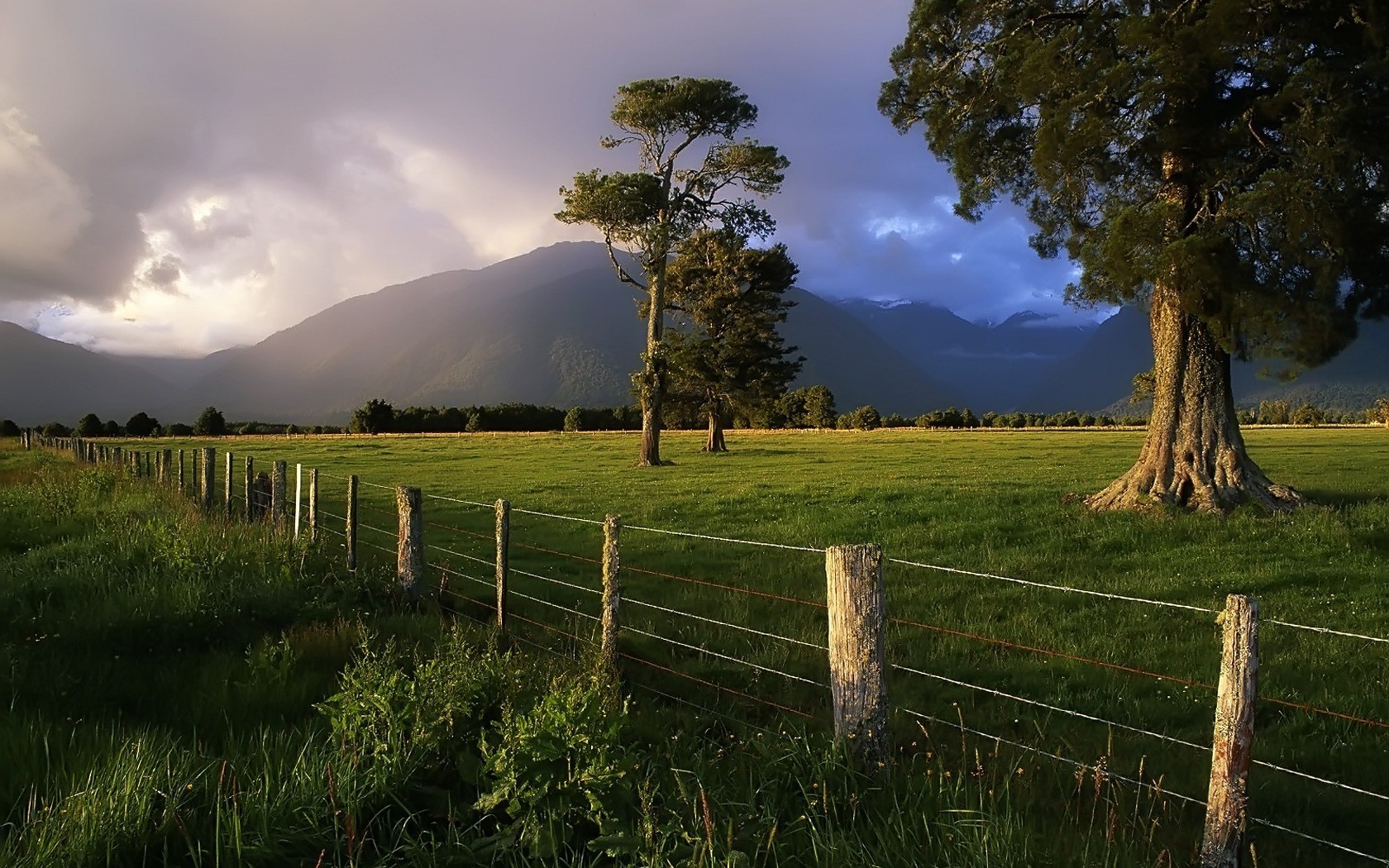 nature, Fence, Storm, Trees, Mountain, New Zealand Wallpaper