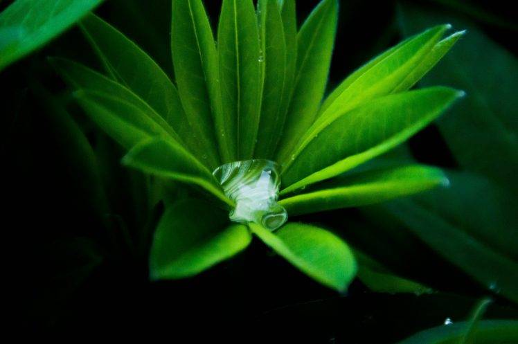 nature, Clouds HD Wallpaper Desktop Background