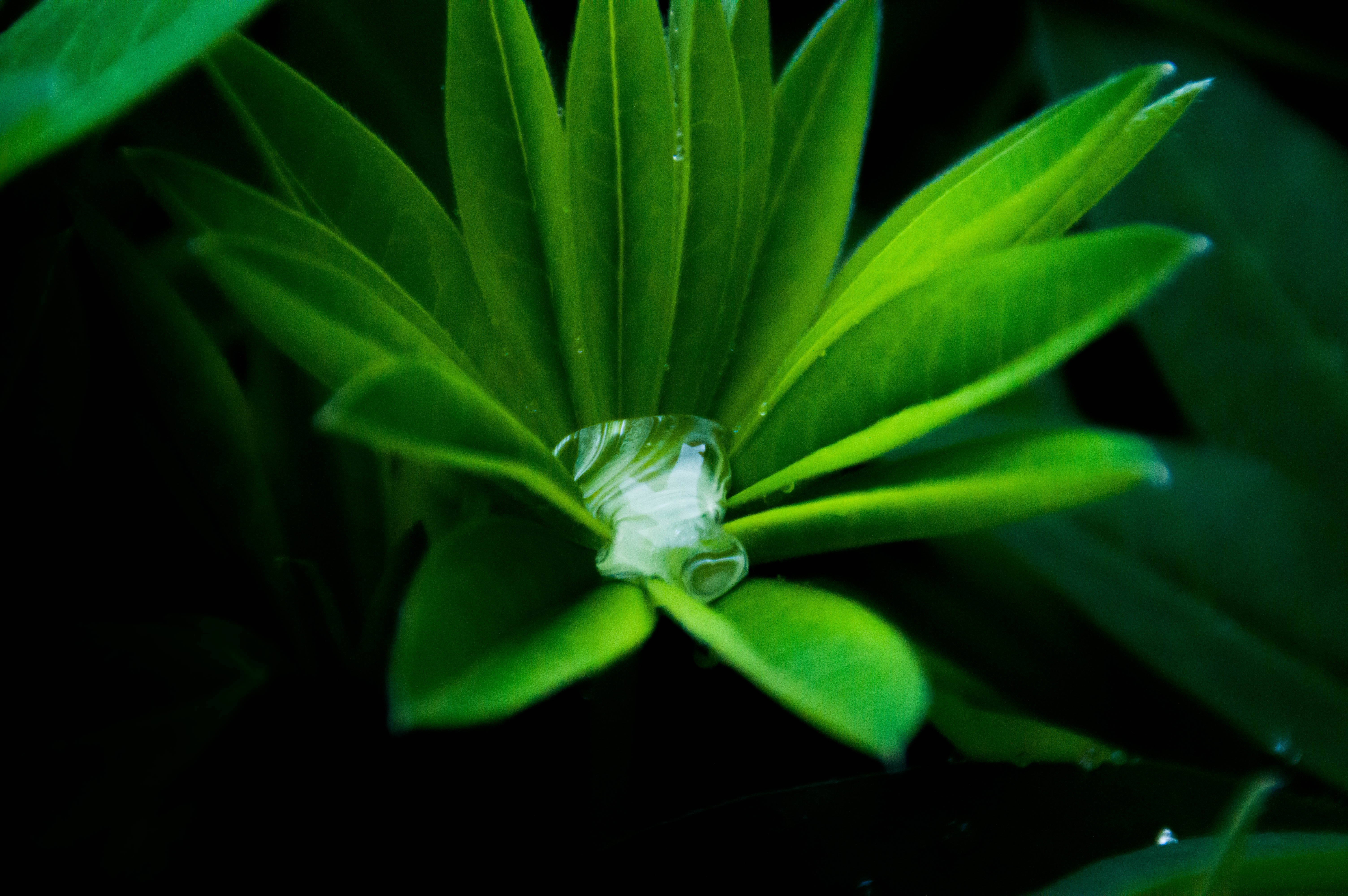 nature, Clouds Wallpaper