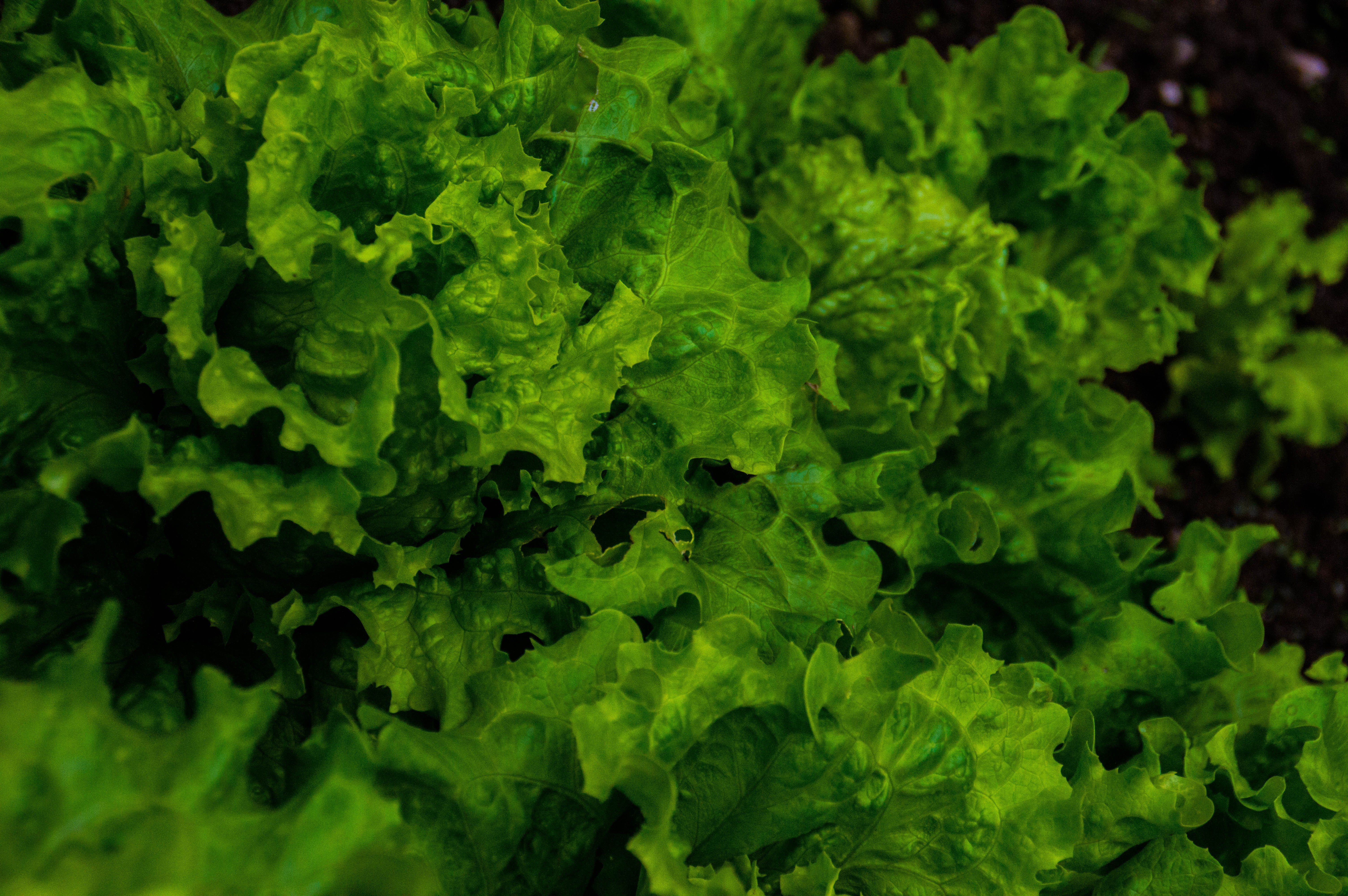 nature, Clouds Wallpaper