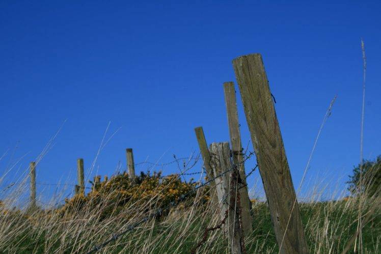moss, Nature, Scotland, UK, Fence, Barbed Wire HD Wallpaper Desktop Background