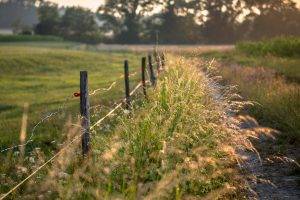 nature, Filter, Photography, Field, Sun Rays, Grass, Green, Road