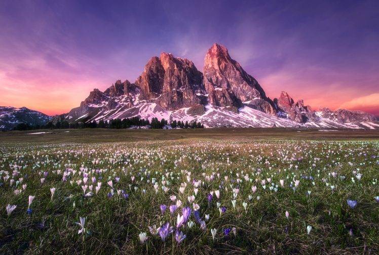 nature, Mountain, Field HD Wallpaper Desktop Background