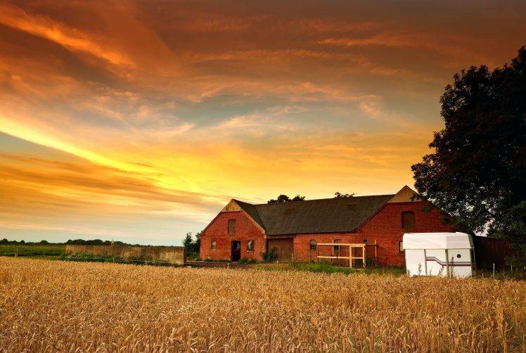 nature, Farm, Sun HD Wallpaper Desktop Background