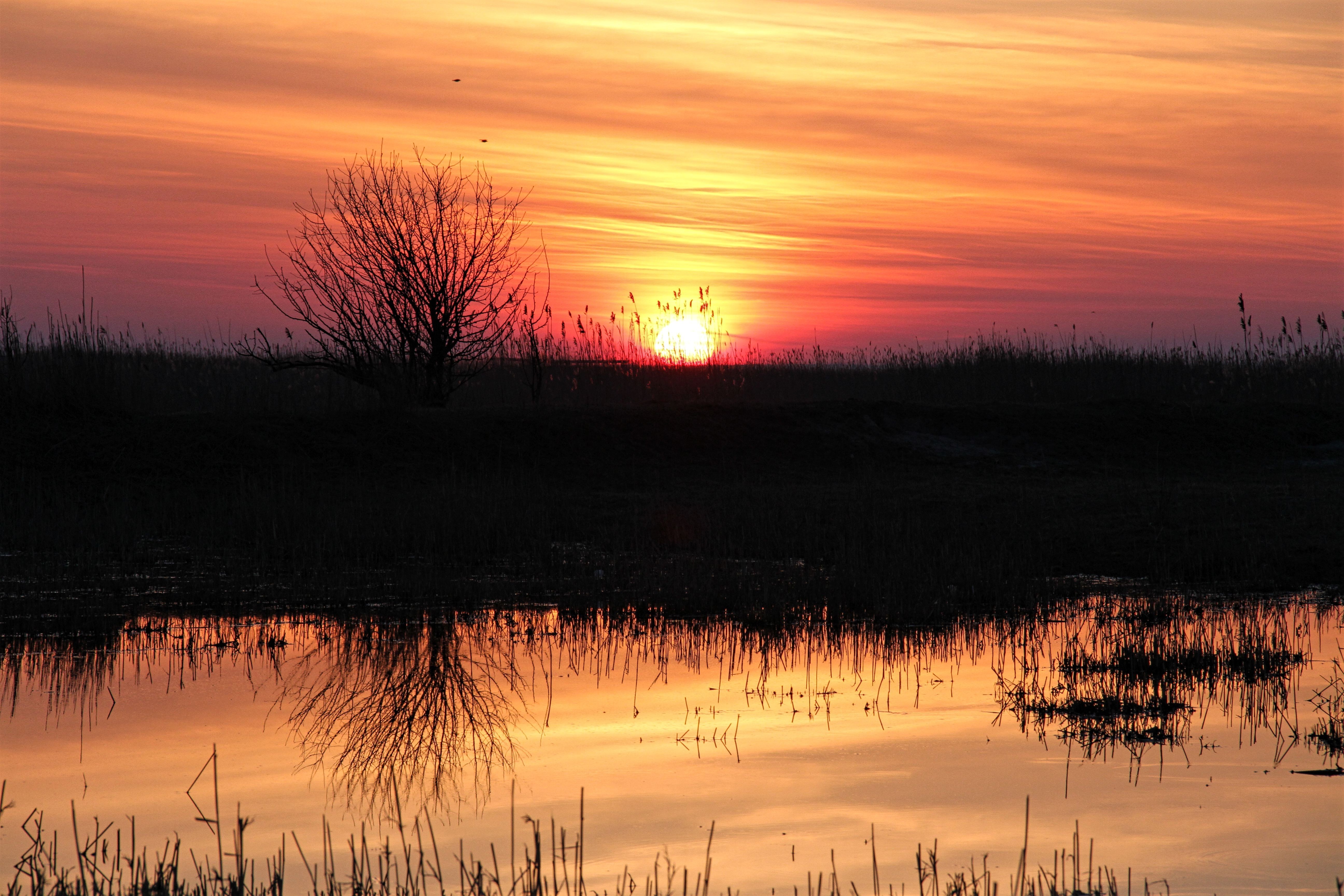 sunset, Nature Wallpaper