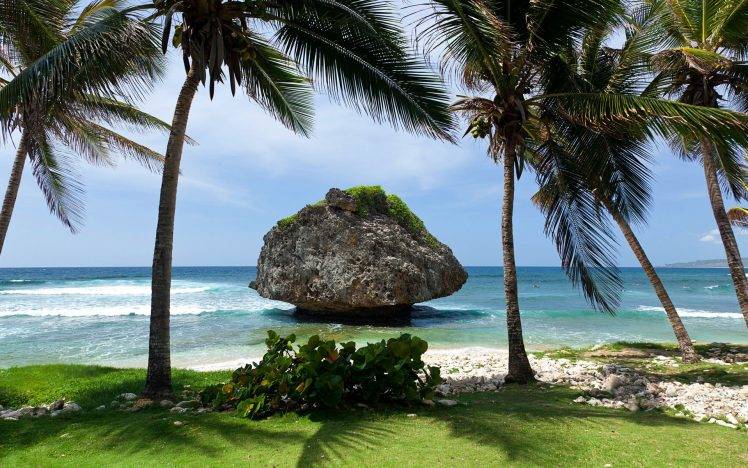 coast, Beach, Nature, Clouds, Palm Trees, Rock, Tropical, Grass, Sea, Waves, Stones, Shadow, Horizon HD Wallpaper Desktop Background