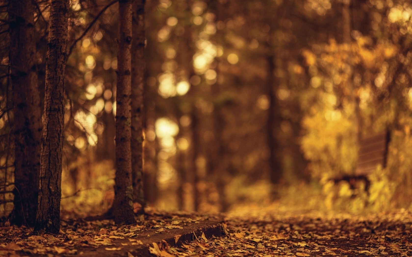 brown, Bench, Blurred, Nature Wallpapers HD / Desktop and Mobile