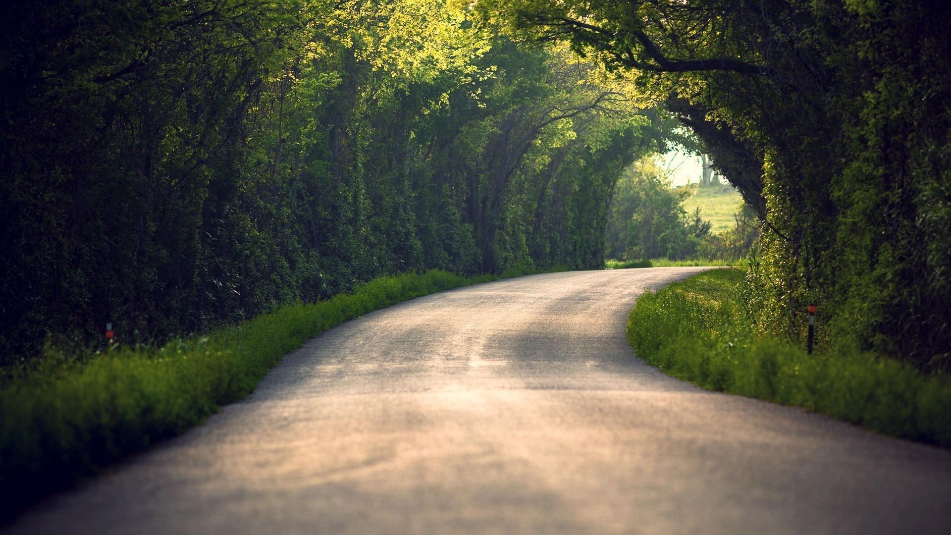 path, Nature, Blurred, Tunnel, Trees, Road Wallpaper