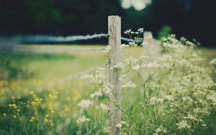 nature, Blurred, Depth Of Field, White Flowers, Yellow Flowers, Wood, Fence HD Wallpaper Desktop Background