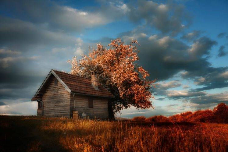nature, House, Grass, Trees, Clouds HD Wallpaper Desktop Background