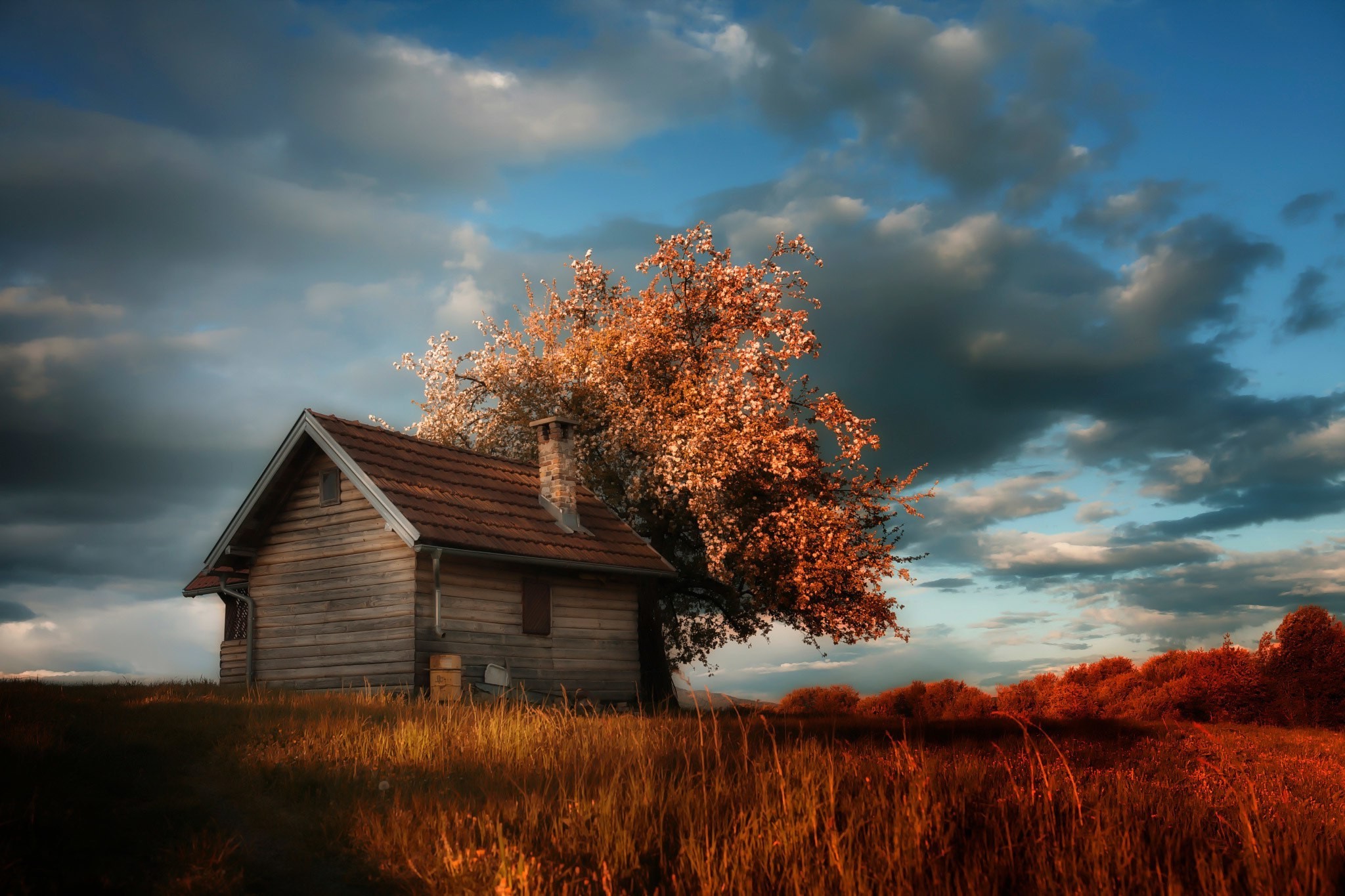 nature, House, Grass, Trees, Clouds Wallpaper