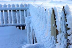 nature, Snow, Fence