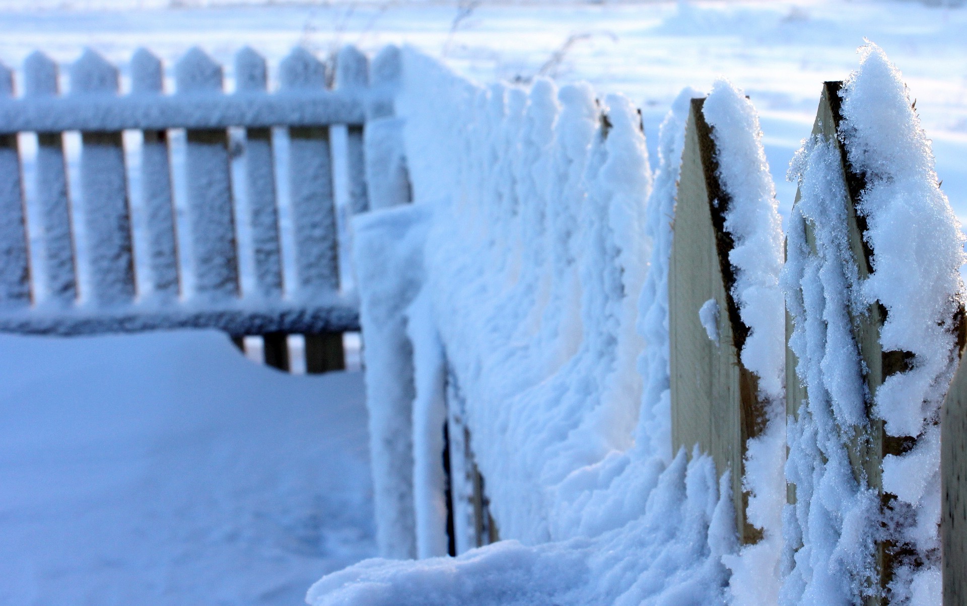 nature, Snow, Fence Wallpaper