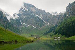 Switzerland, Mountain, Rock Formation, Valley, River, Trees, Snowy Peak
