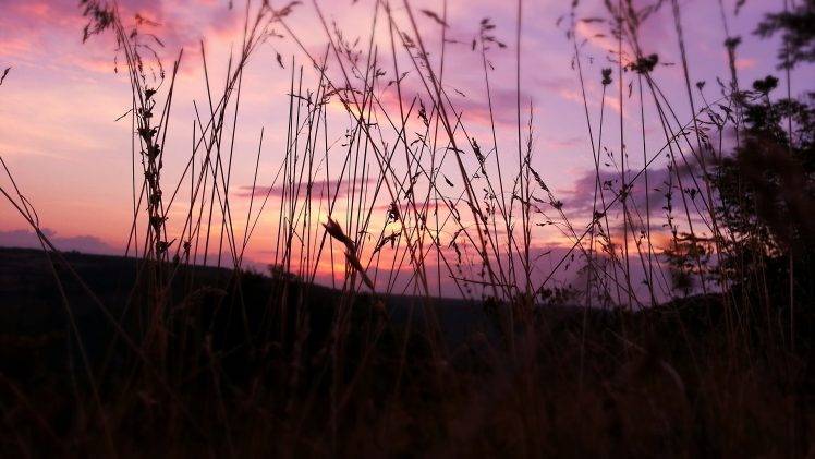 nature, Sunset, Sky, Grass HD Wallpaper Desktop Background