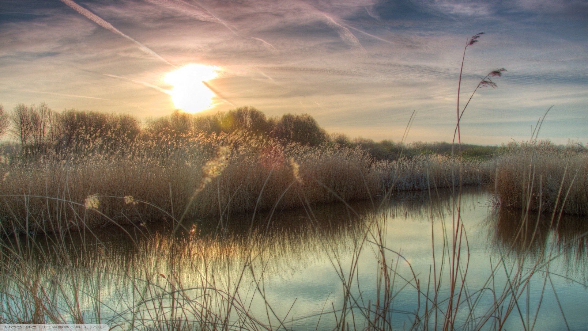 nature Wallpaper