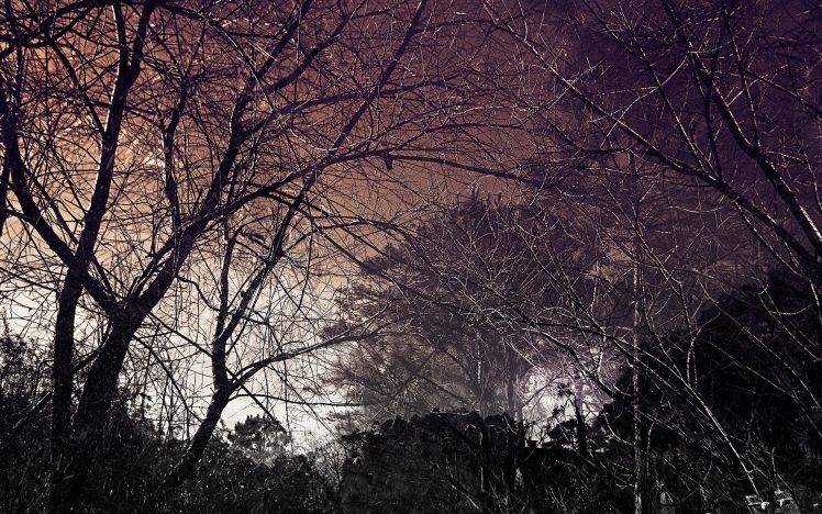trees, Nature, Creepy, Branch HD Wallpaper Desktop Background