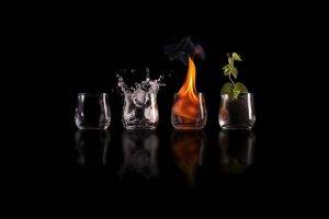 four Elements, Nature, Drinking Glass, Fire, Water, Plants, Science Fiction, Elements, Black