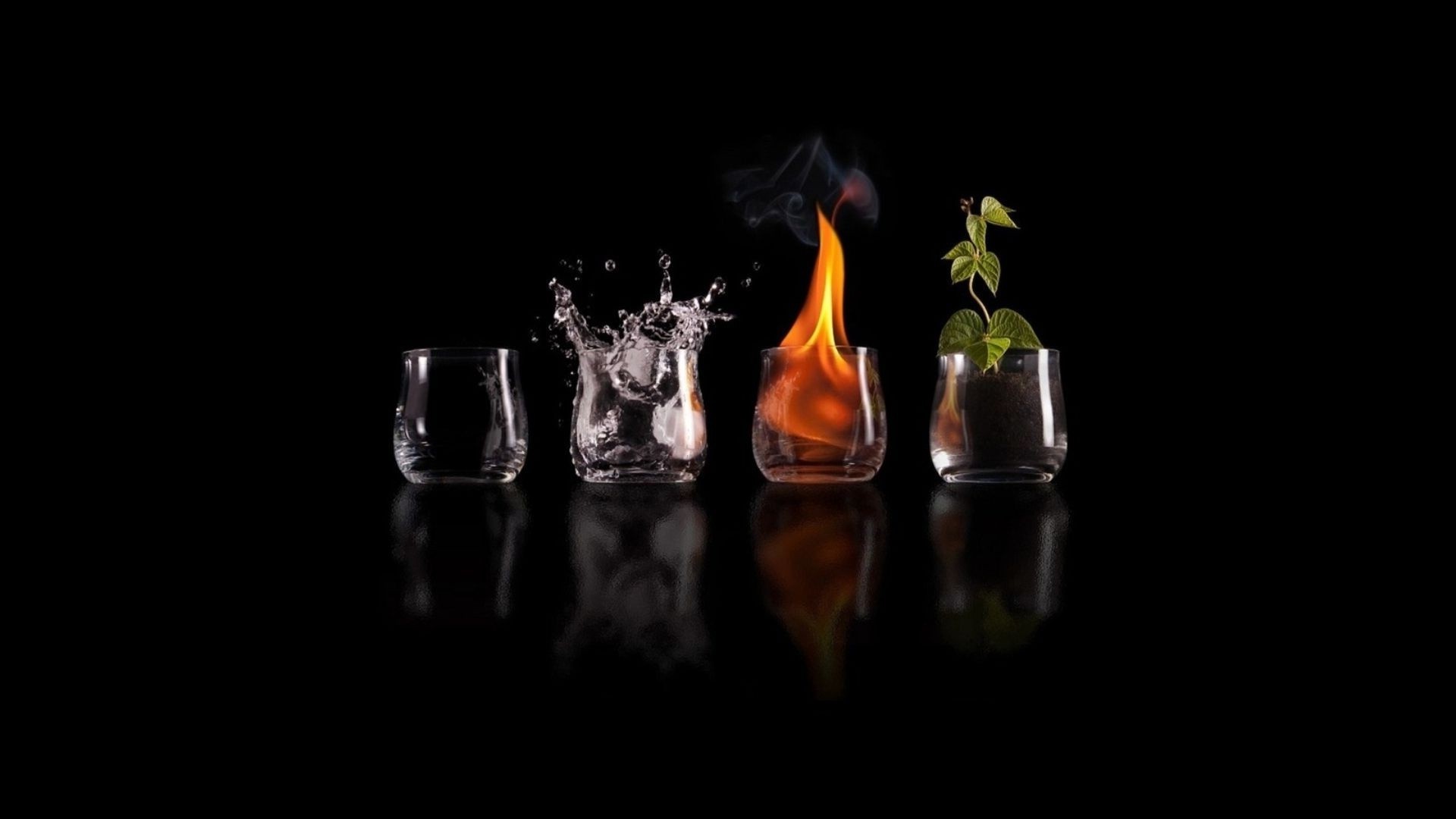 four Elements, Nature, Drinking Glass, Fire, Water, Plants, Science Fiction, Elements, Black Wallpaper