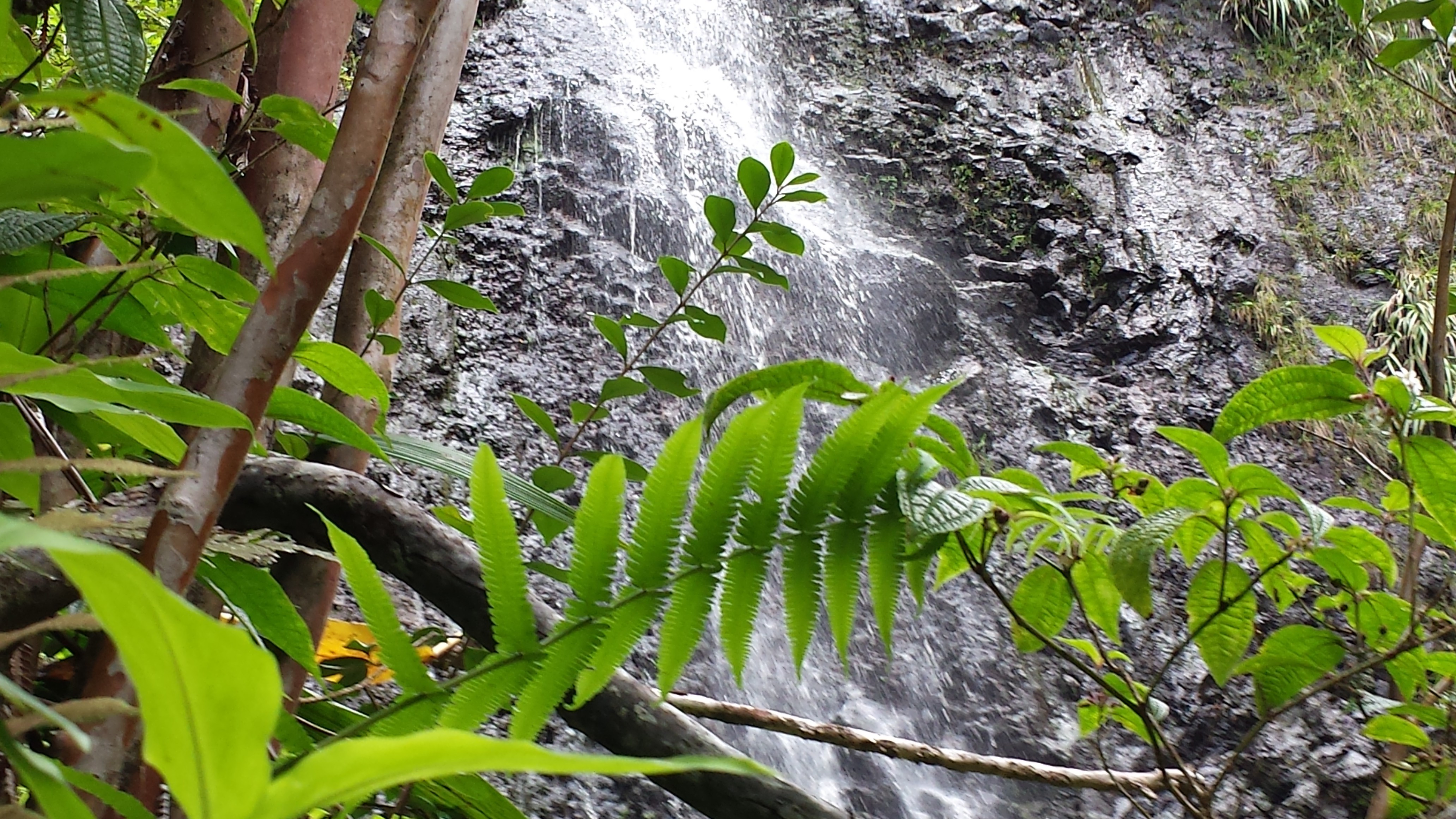 Kaau Crater, Oahu, Hawaii, Nature, Waterfall Wallpaper