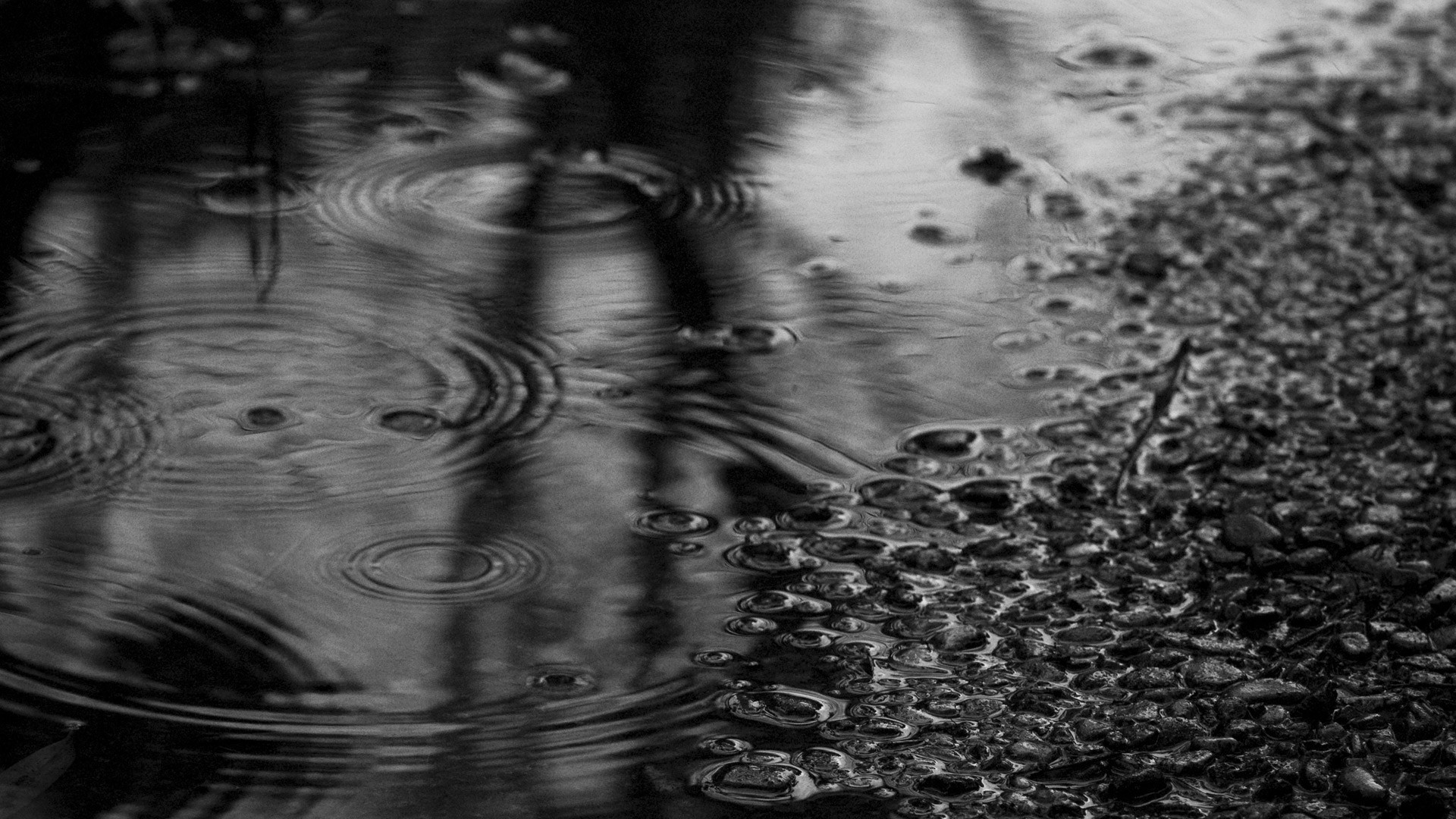 rain, Nature Wallpaper
