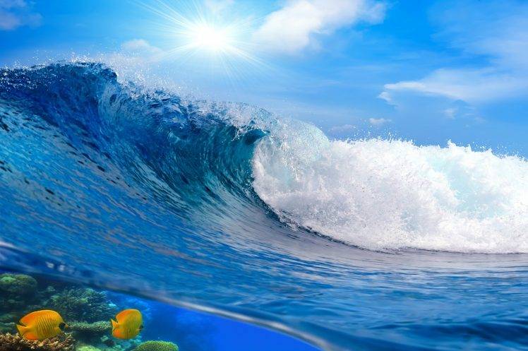 fish, Sea, Waves, Nature HD Wallpaper Desktop Background