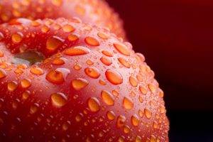nature, Fruit, Water Drops, Macro, Detailed, Red, Depth Of Field, Vegetables, Tomatoes