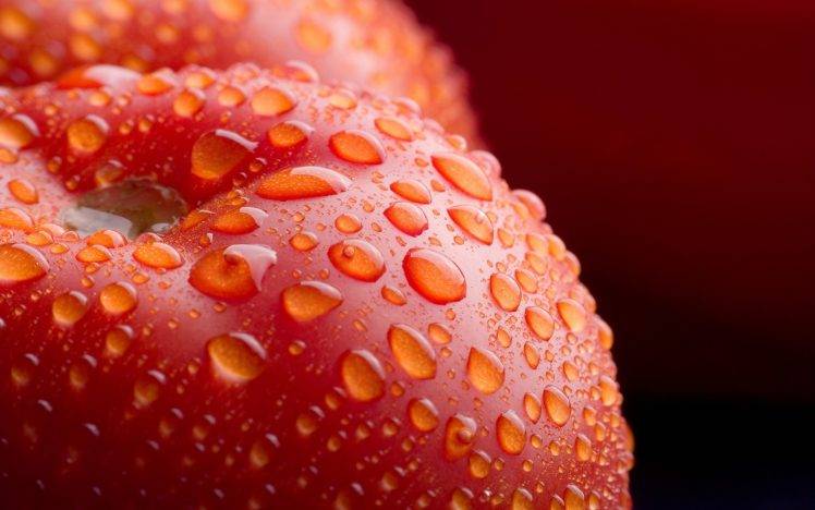 nature, Fruit, Water Drops, Macro, Detailed, Red, Depth Of Field, Vegetables, Tomatoes HD Wallpaper Desktop Background