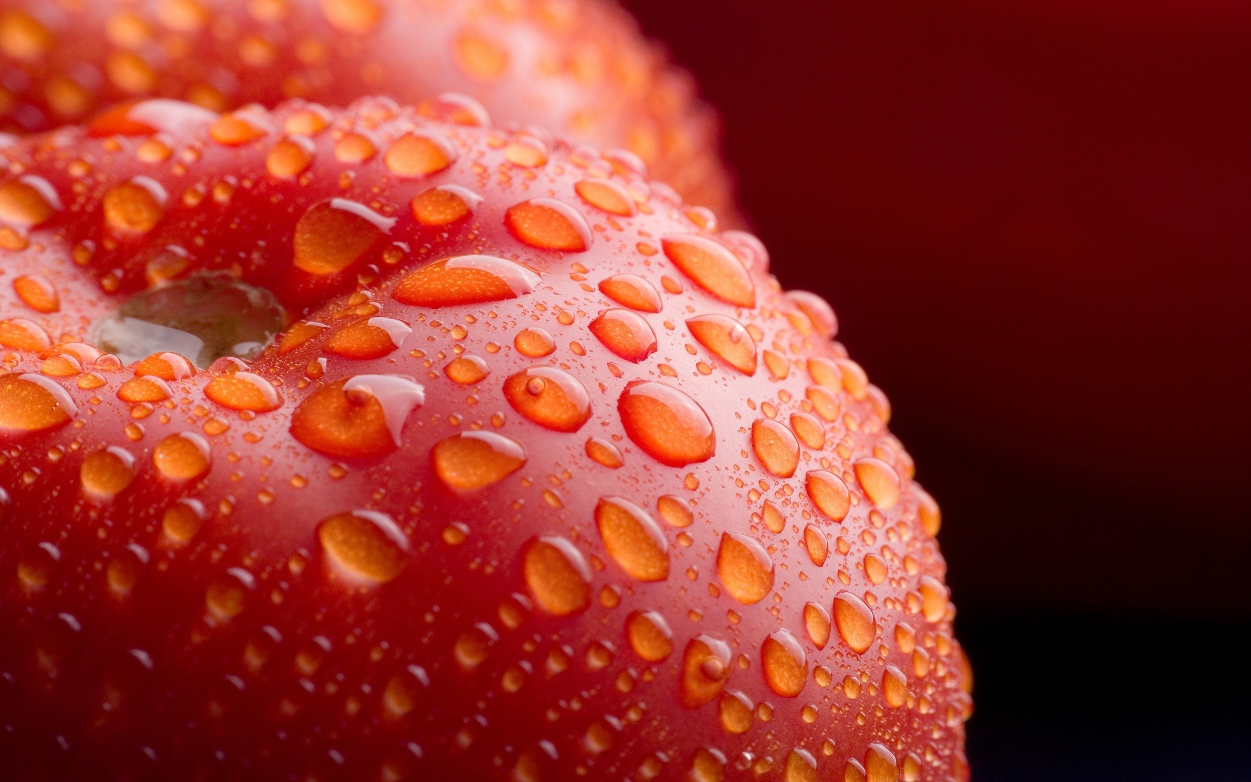 nature, Fruit, Water Drops, Macro, Detailed, Red, Depth Of Field, Vegetables, Tomatoes Wallpaper