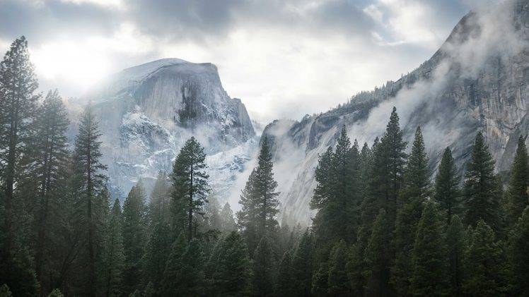 mountain, Ice, Spruce, Mist, Overcast, Nature HD Wallpaper Desktop Background