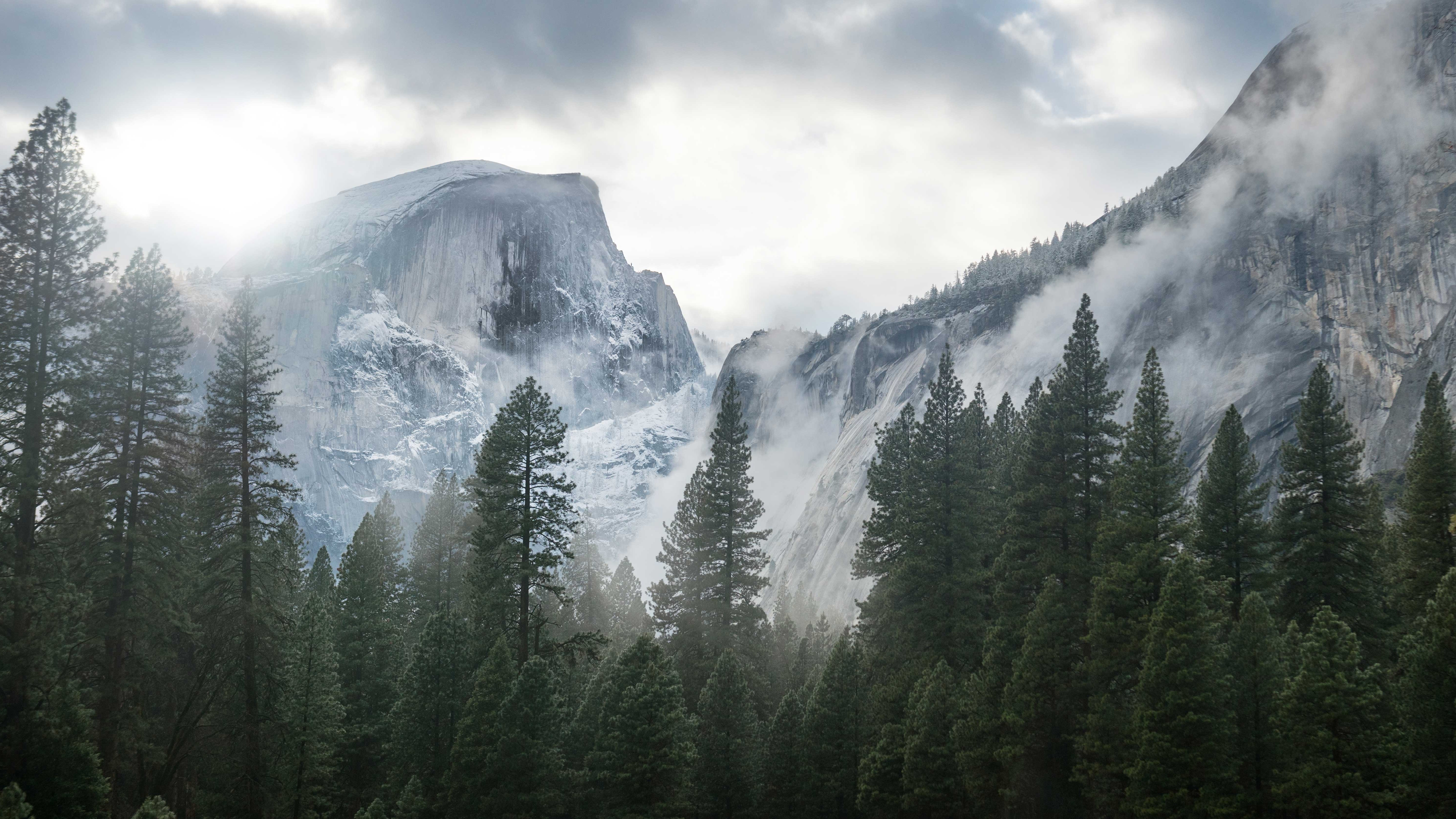 mountain, Ice, Spruce, Mist, Overcast, Nature Wallpaper