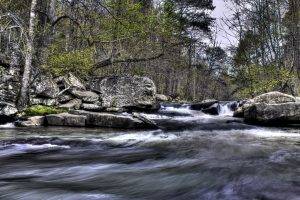 nature, Trees, Forest, River, Water, Rock