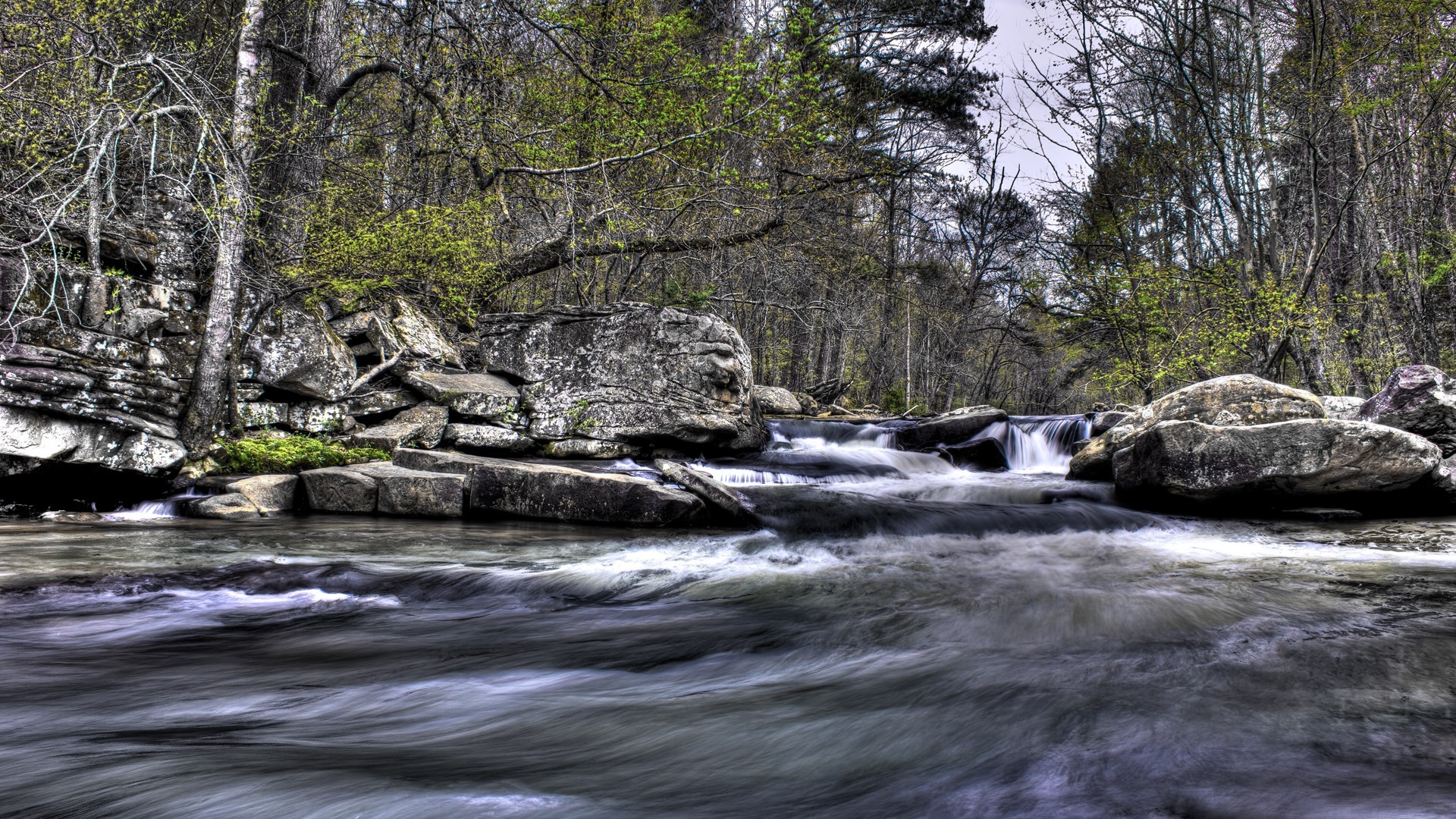 nature, Trees, Forest, River, Water, Rock Wallpaper
