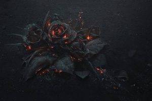 flowers, Rose, Fire, Gothic
