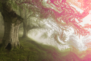 forest, Nature, Psychedelic, Trees