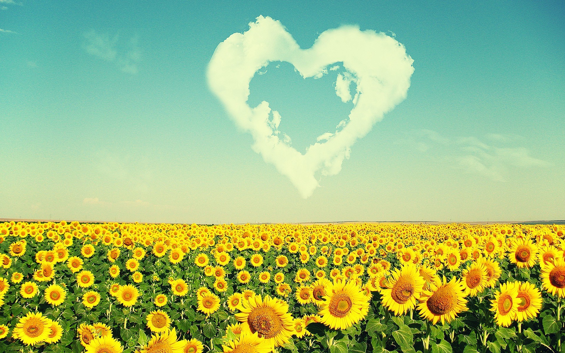 sunflowers, Clouds, Flowers, Nature Wallpaper