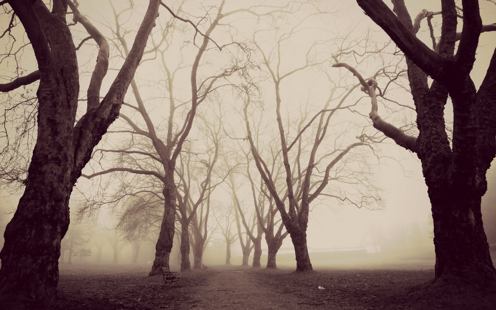 nature, Trees, Forest, Winter, Morning, Path, Bench, Branch, Mist, Sepia, Park Wallpaper