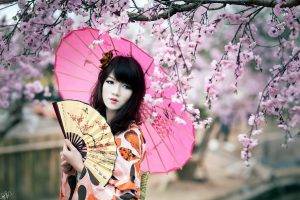 women, Cherry Blossom, Japan, Fans, Parasol